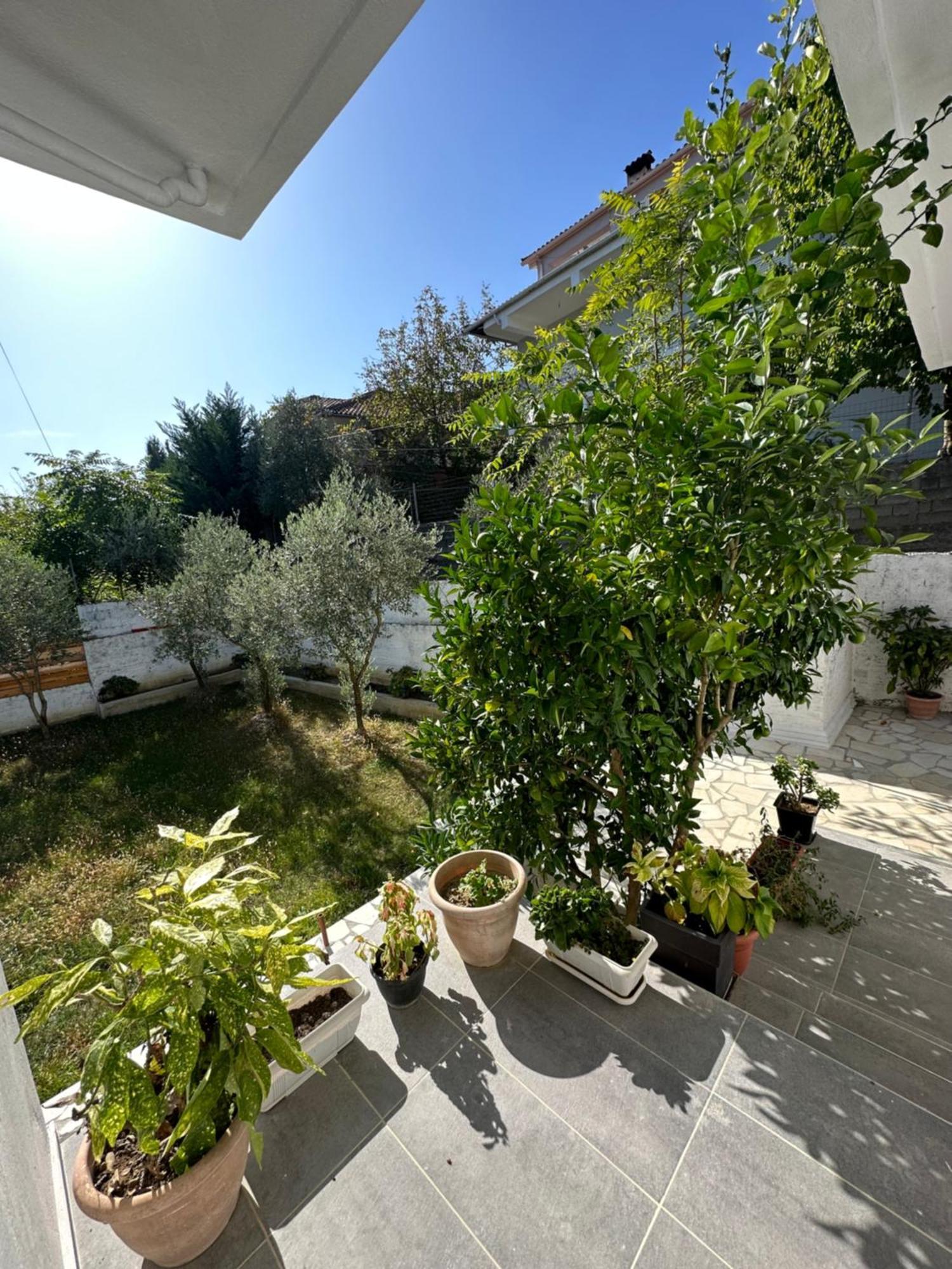 Villa Braho Gjirokastër Dış mekan fotoğraf