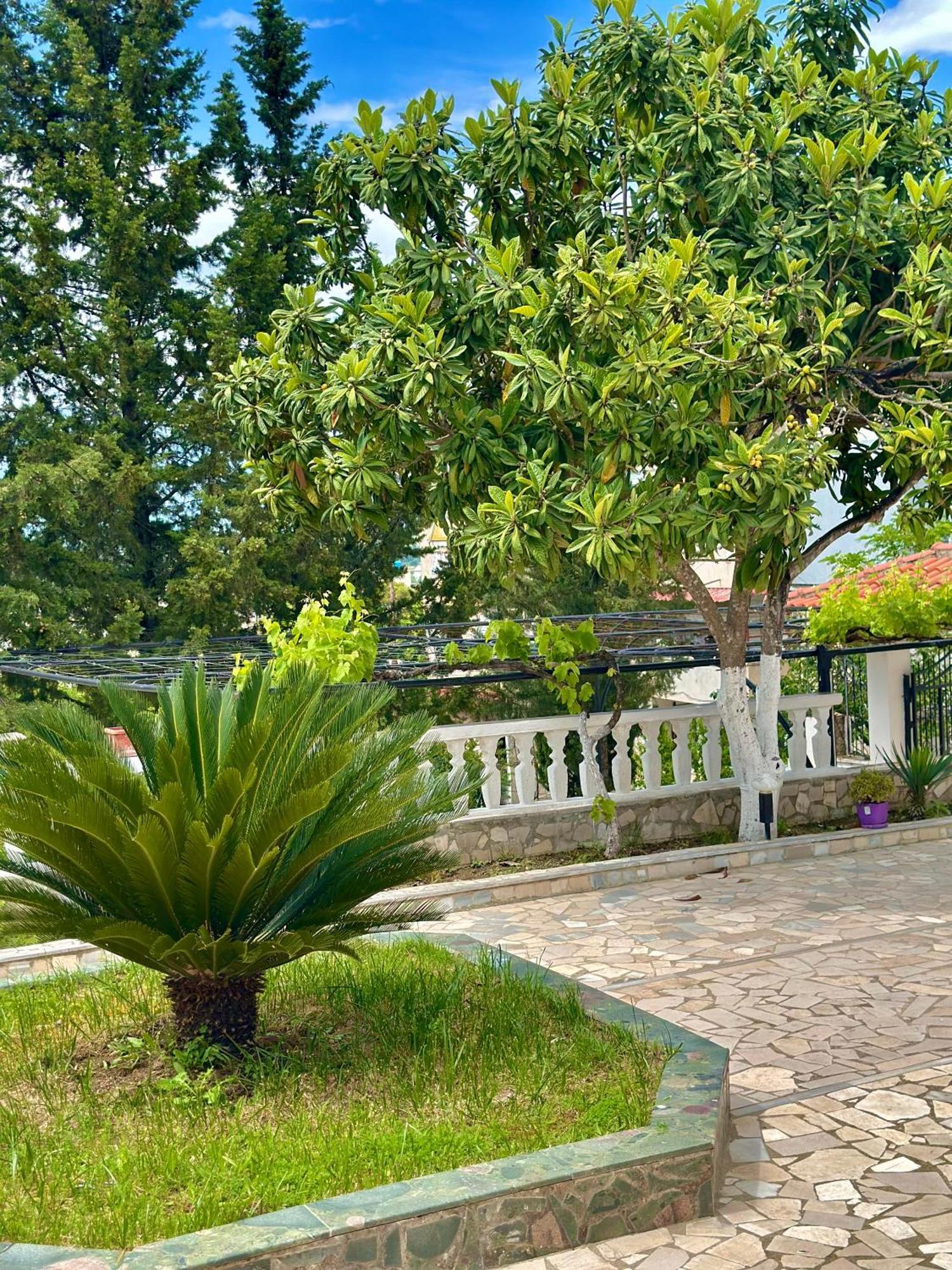 Villa Braho Gjirokastër Dış mekan fotoğraf