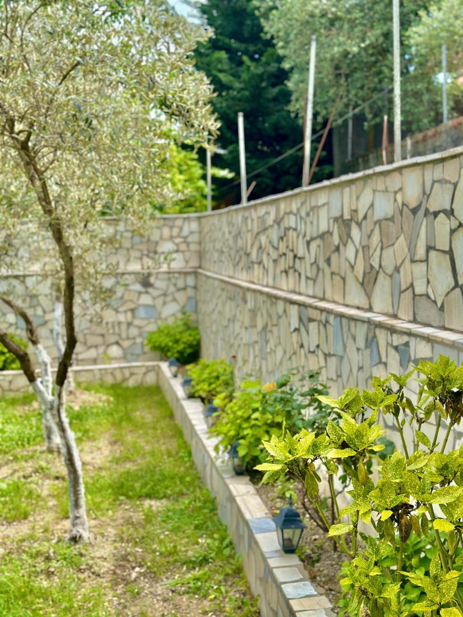Villa Braho Gjirokastër Dış mekan fotoğraf